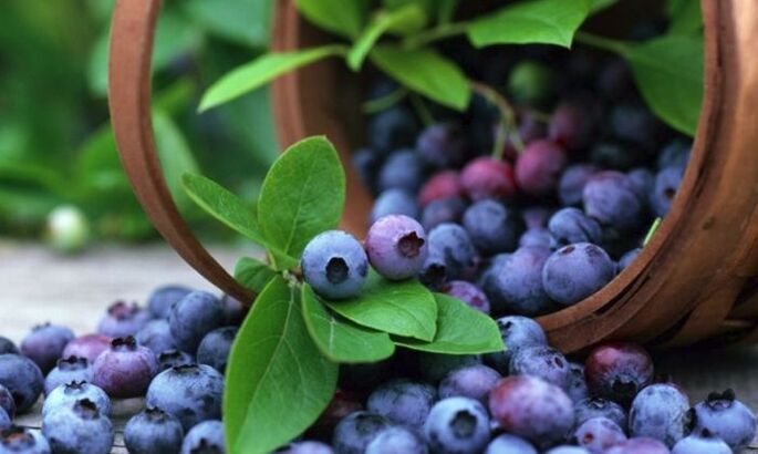 Blueberries sinn eng populär Berry déi d'visuell Akuitéit effektiv verbessert. 